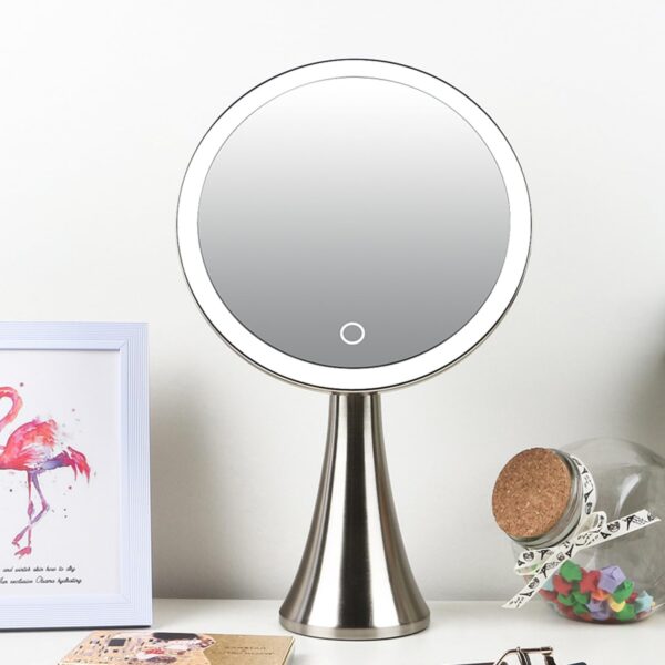 9inch Lighted Round Makeup Vanity Mirror, 5X/10X Dual Magnification with Ultra Bright  Lights Beauty Mirror, Rechargeable, Cordless, Touch Control Adjustable Brightness, Brushed Stainless Steel - Image 2